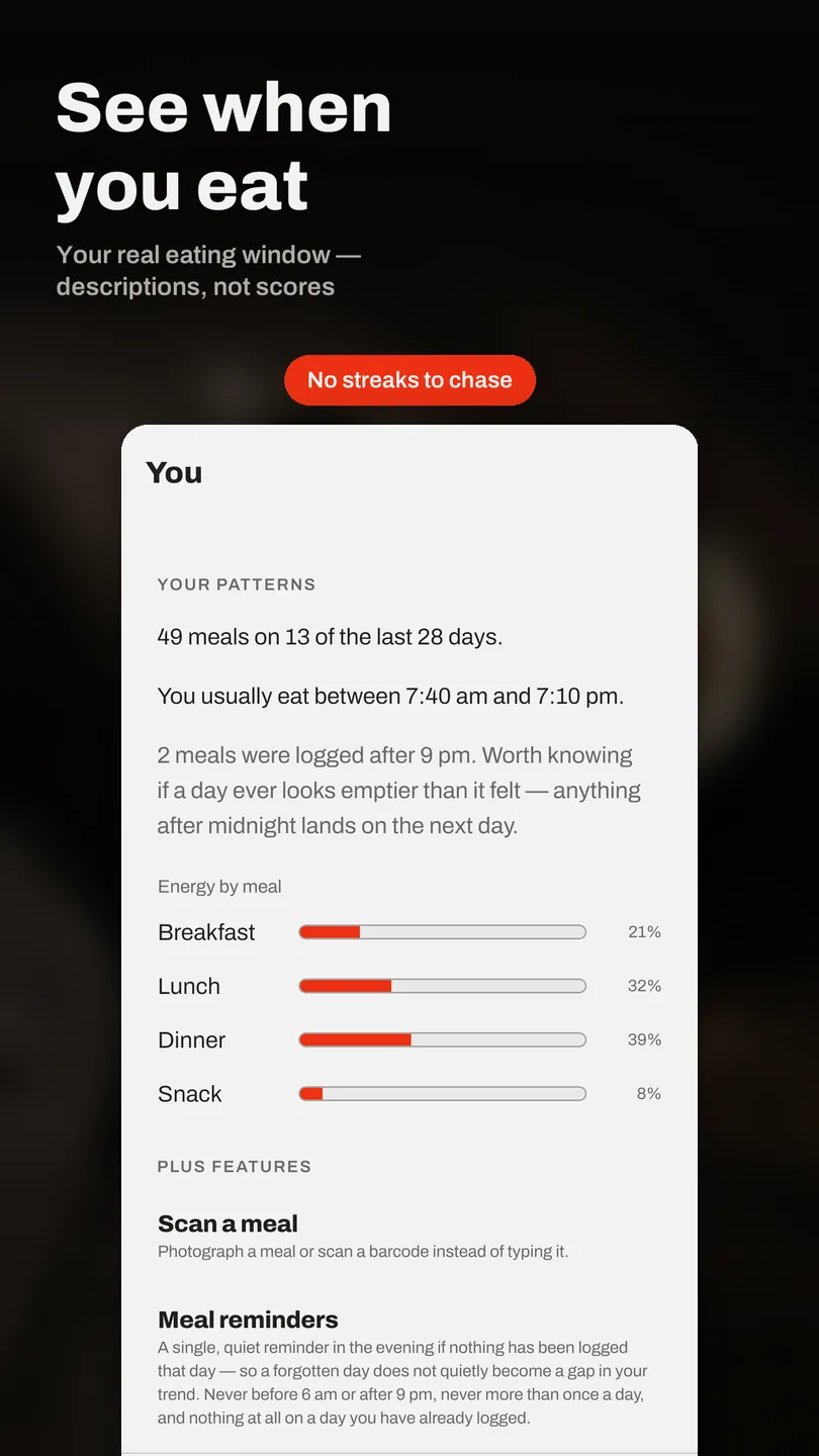 The Munch Metrics meal-timing insights screen, showing meals logged over the last 28 days, the usual eating window, and the split of energy across breakfast, lunch, dinner and snacks.